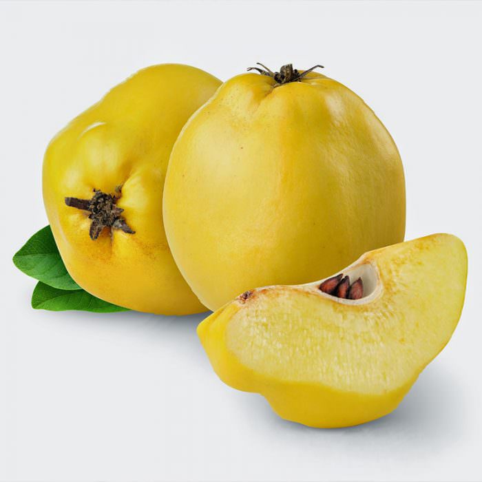 limon ayva fidanı